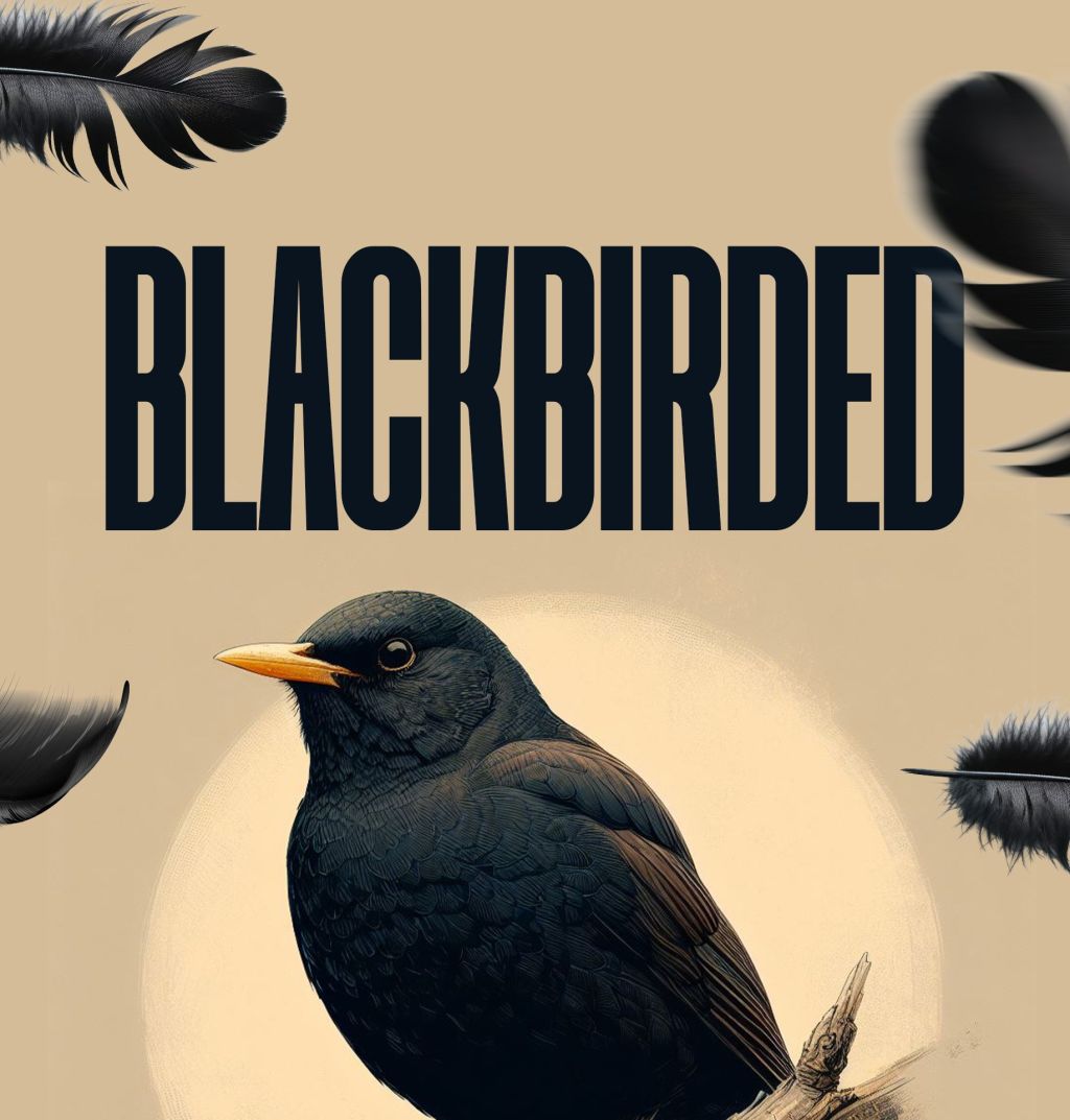 Blackbirded Afterword