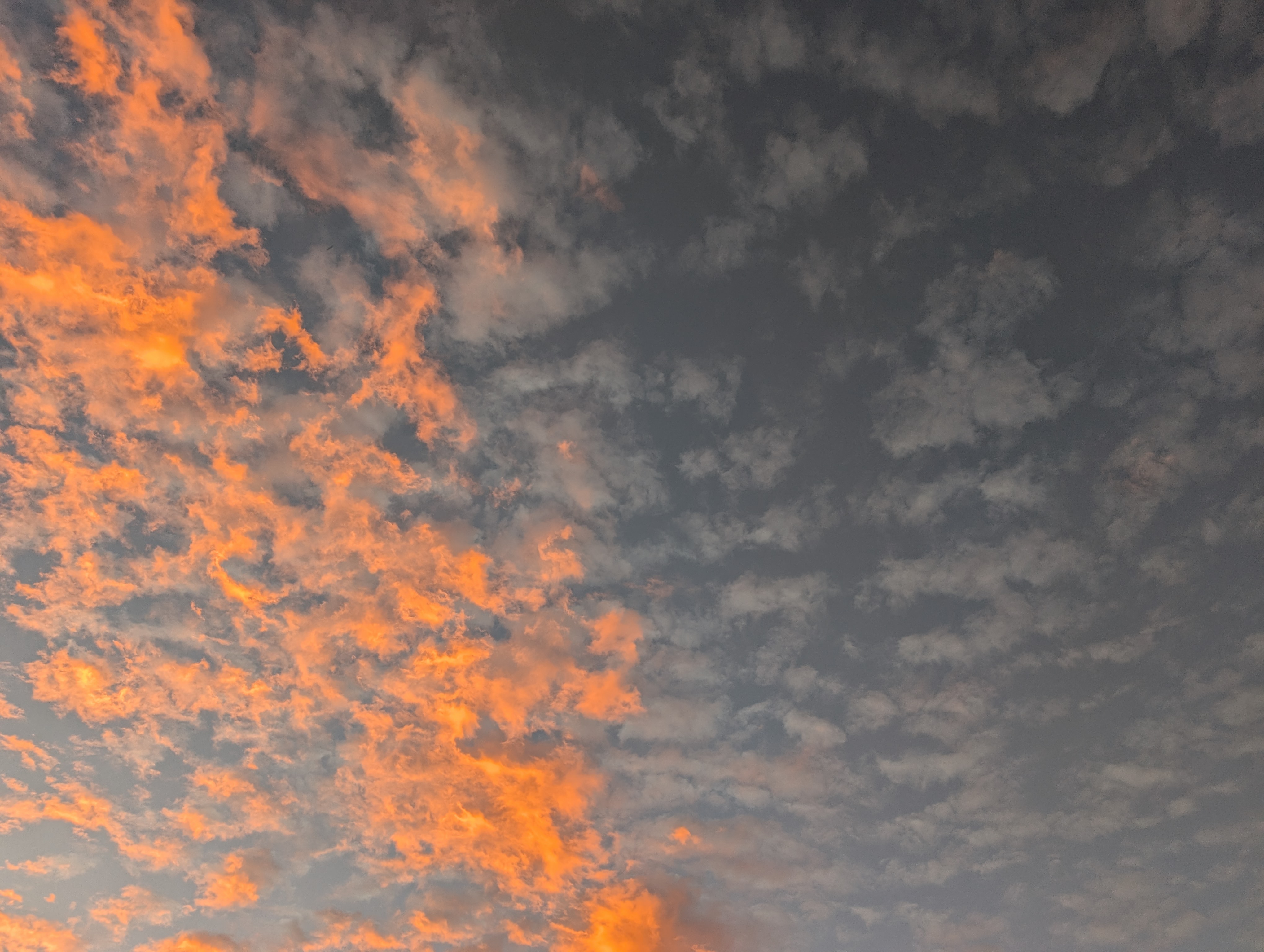 A pretty picture of some clouds with the setting sun painting them orange.