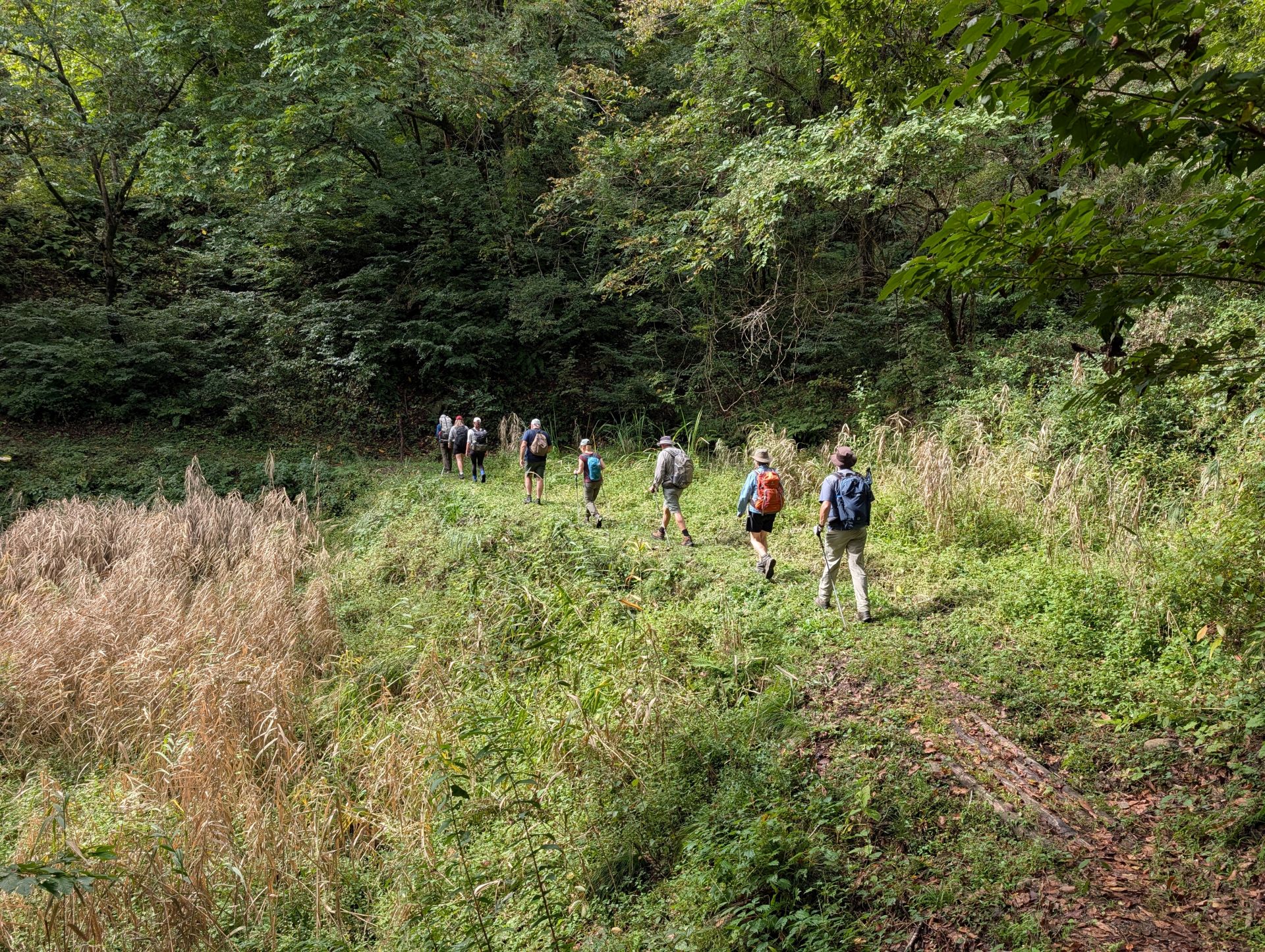 Not Supposed To Be Here: An outsider’s perspective on walking Japan’s Shionomichi (Salt Road)
