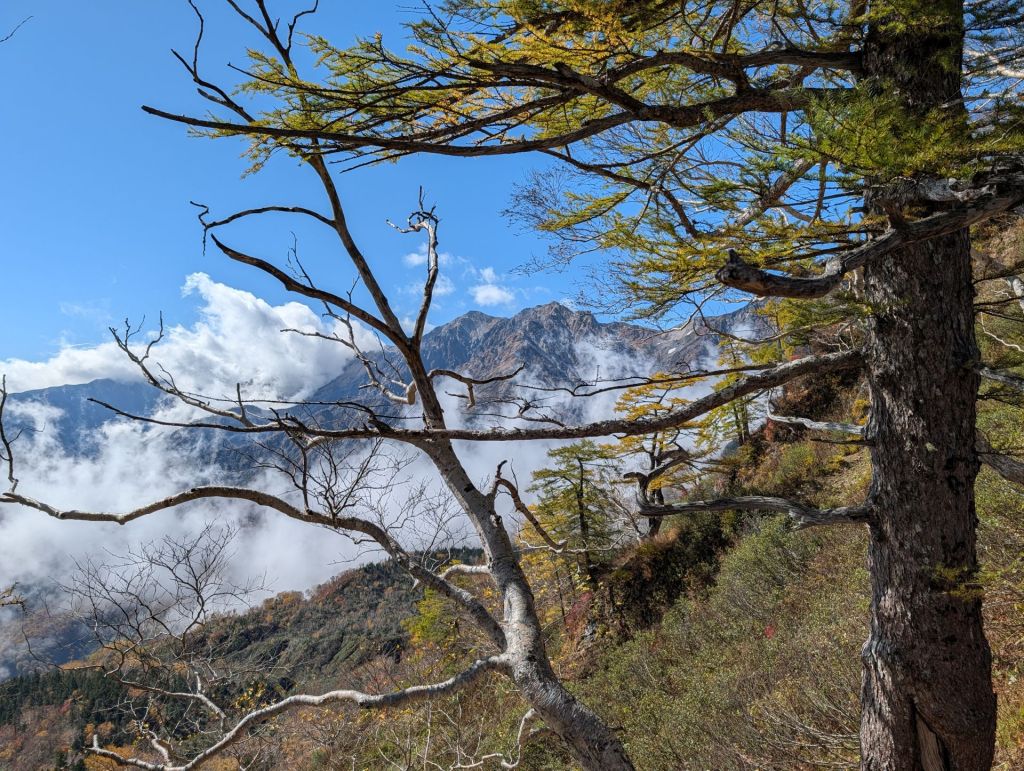 Mountains peek through clouds, while trees stand firm in the foreground.
